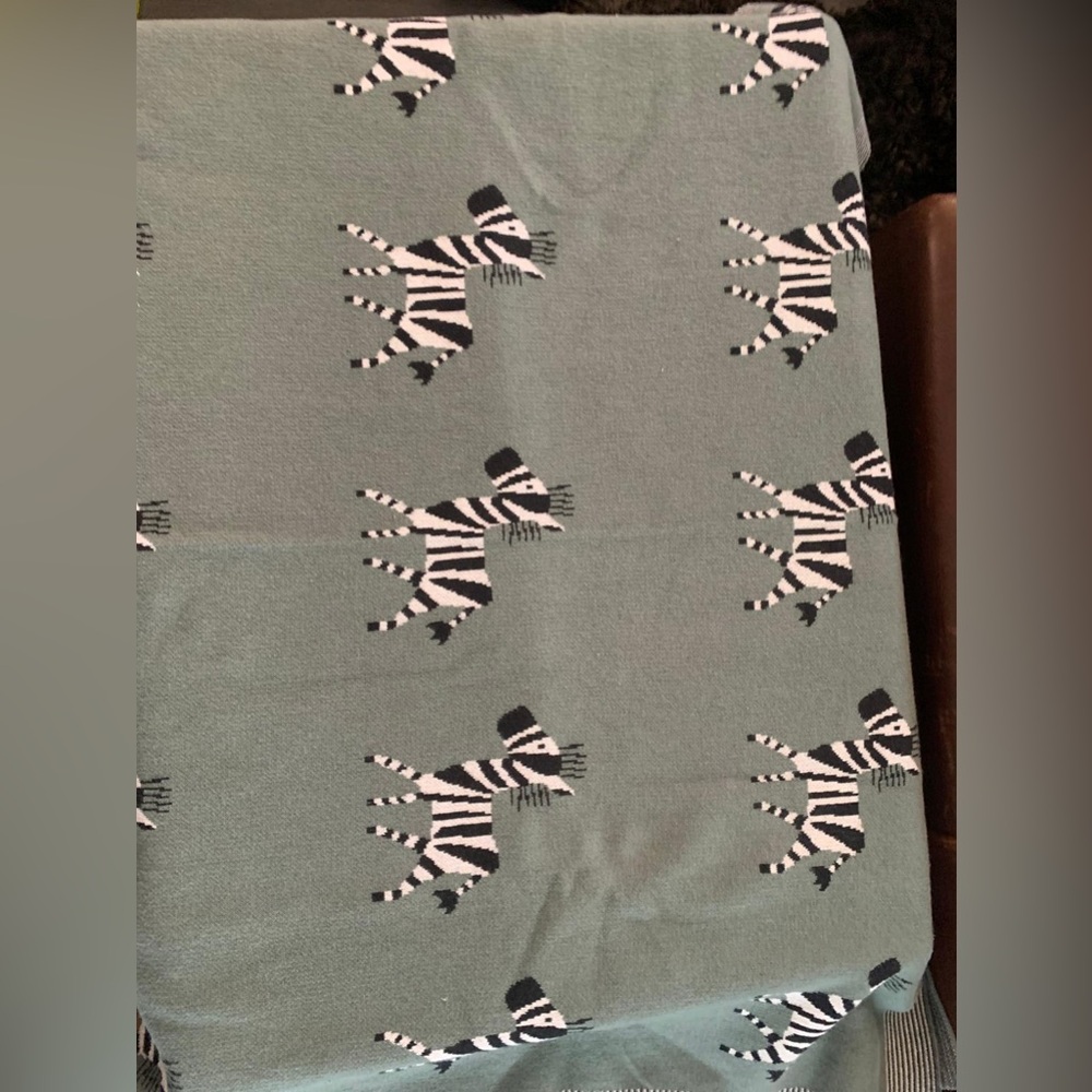 Zebra baby blanket
